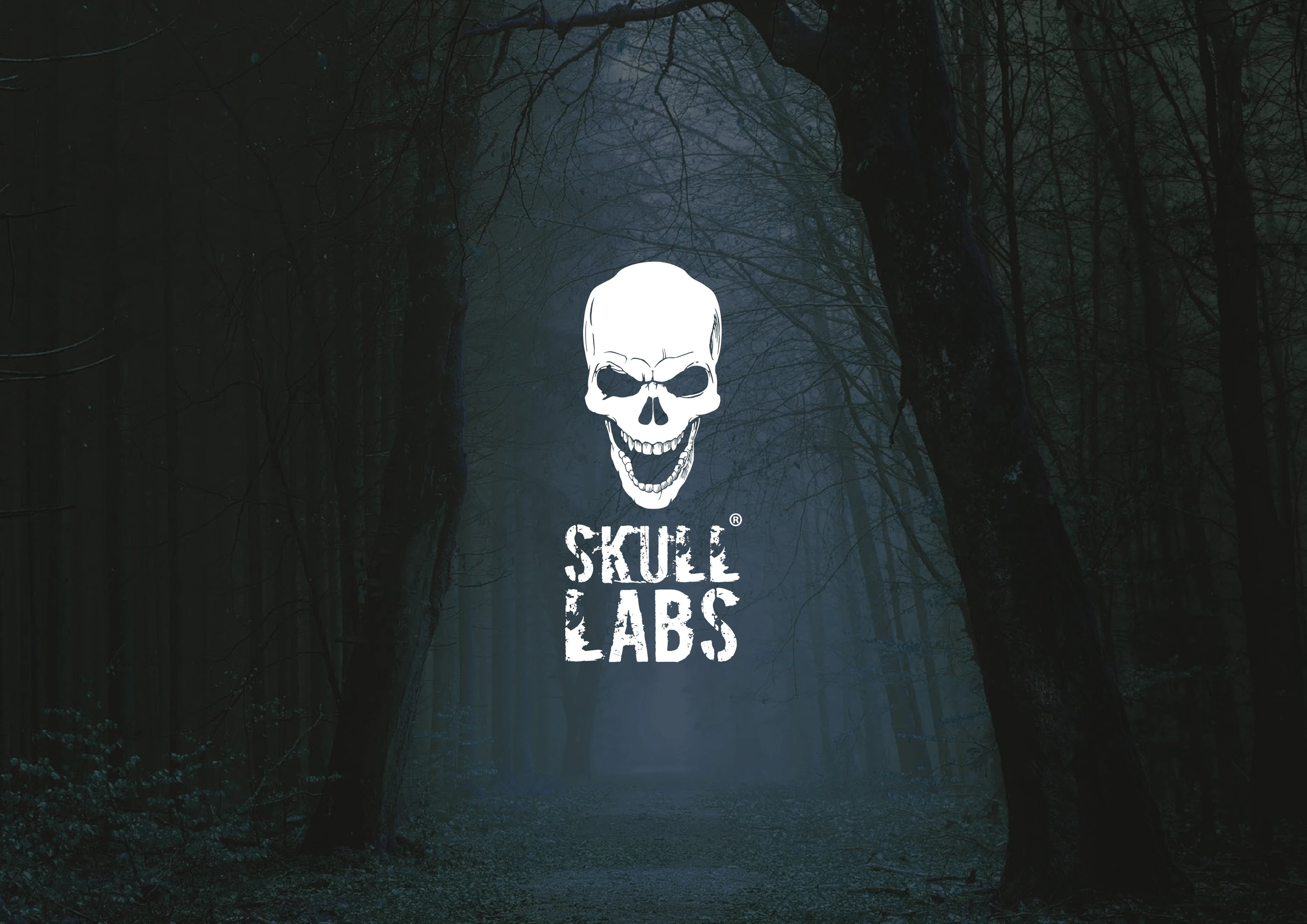 skulllabs